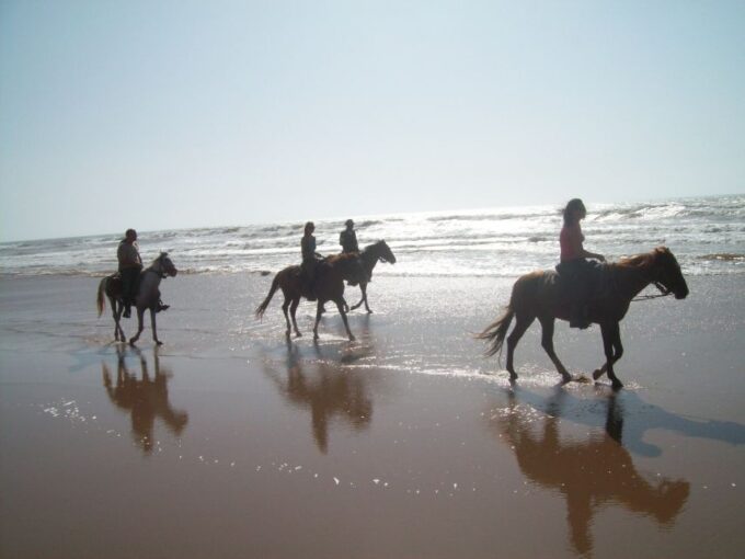 Agadir or Taghazout: 2 Hour Sunset or Daylight Horse Ride - Scenic Routes and Landscapes
