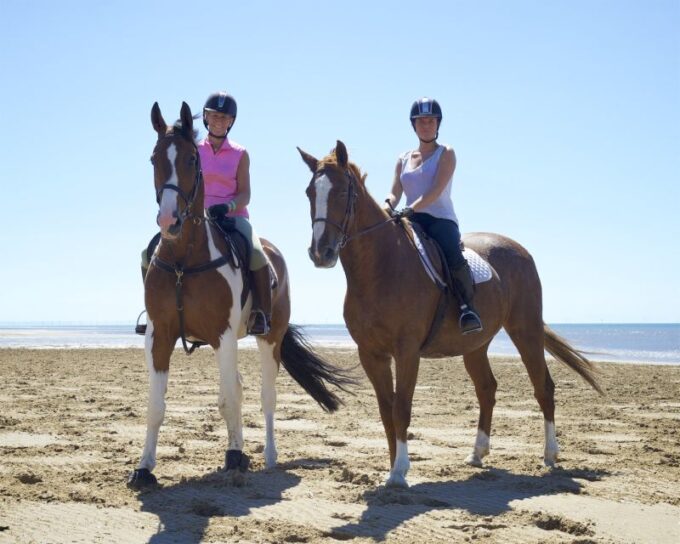 Agadir or Taghazout: 2 Hour Sunset or Daylight Horse Ride - Frequently Asked Questions