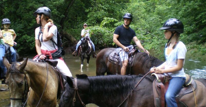 Agadir or Taghazout : Beach and Ranch Horse Riding Tour - Key Points