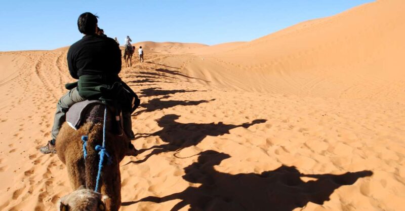 Agadir or Taghazout : Camel Ride in Desert Sand Dunes - Experiencing the Agadir Desert