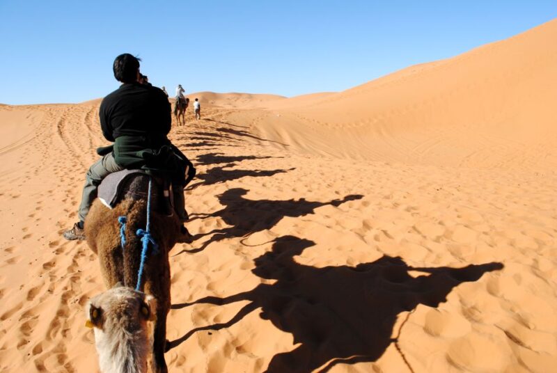 Agadir or Taghazout : Camel Ride in Desert Sand Dunes - Duration and Pricing Details