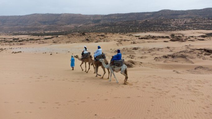 Agadir or Taghazout : Camel Ride in Desert Sand Dunes - Highlights of the Experience