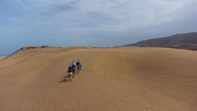 Agadir or Taghazout : Camel Ride in Desert Sand Dunes - Booking Process
