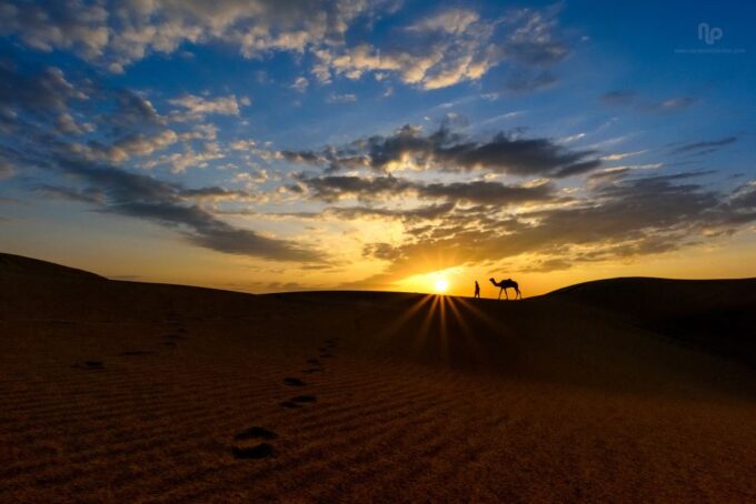 Agadir or Taghazout : Camel Ride in Desert Sand Dunes - Customer Feedback