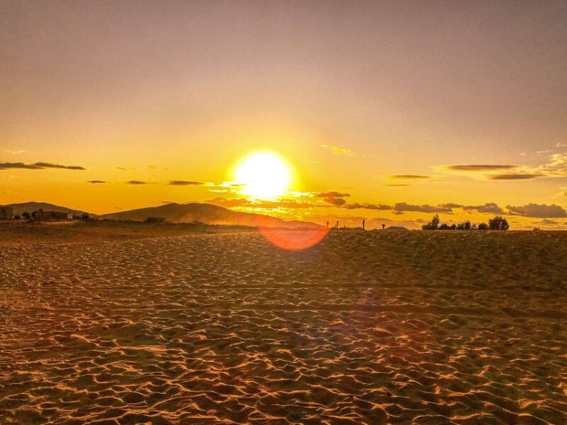 Agadir or Taghazout : Desert Sahara Sand Dunes With Transfer - Itinerary