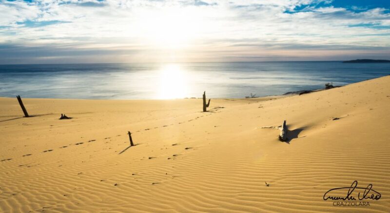 Agadir or Taghazout : Desert Sahara Sand Dunes With Transfer - Key Points