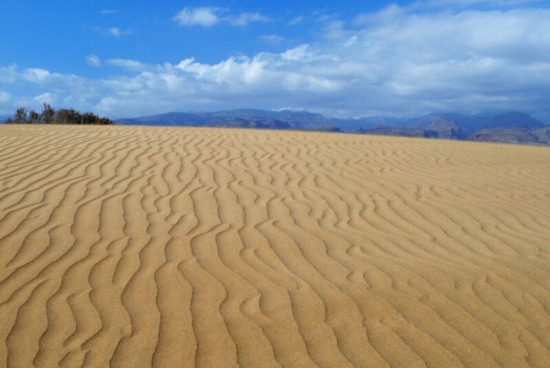 Agadir or Taghazout : Desert Sahara Sand Dunes With Transfer - Inclusions and Logistics
