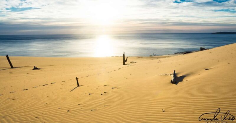 Agadir or Taghazout : Desert Sahara Sand Dunes With Transfer - Customer Feedback
