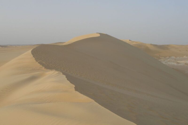 Agadir or Taghazout : Desert Sahara Sand Dunes With Transfer - Transportation and Tour Guide