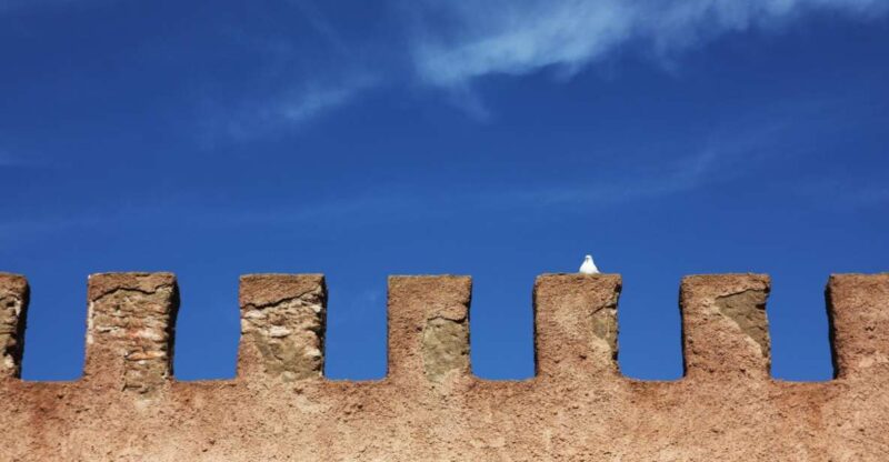 Agadir or Taghazout: Essaouira Guided Day Trip - Itinerary Highlights