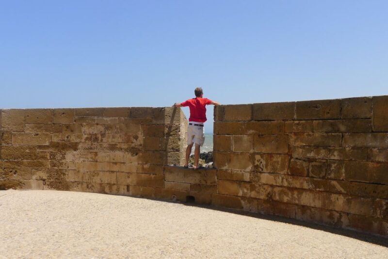 Agadir or Taghazout: Essaouira Guided Day Trip - Guided Experience