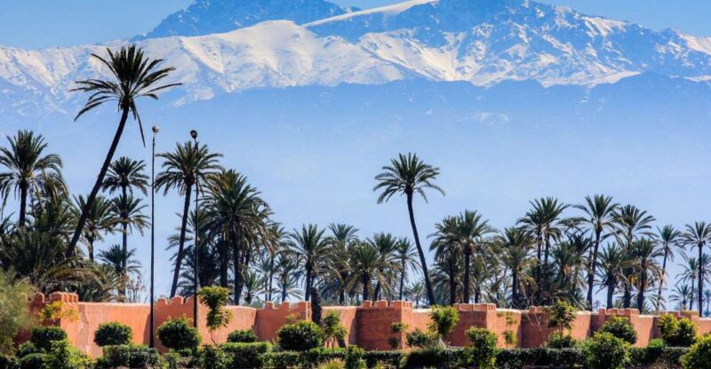 Agadir or Taghazout: Marrakech Trip With Licensed Tour Guide - Key Points