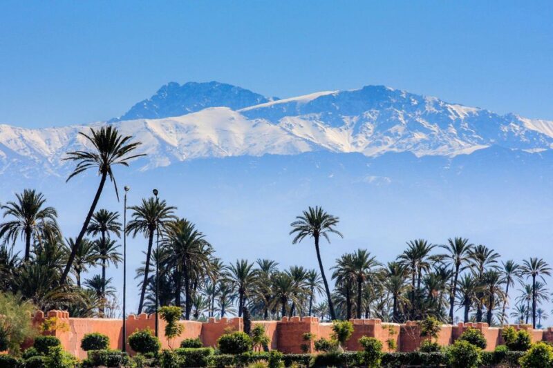 Agadir or Taghazout: Marrakech Trip With Licensed Tour Guide - Local Experience