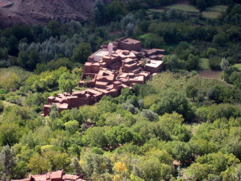 Agadir or Taghazout or Port: Paradise Valley Trip & Lunch - Customer Reviews