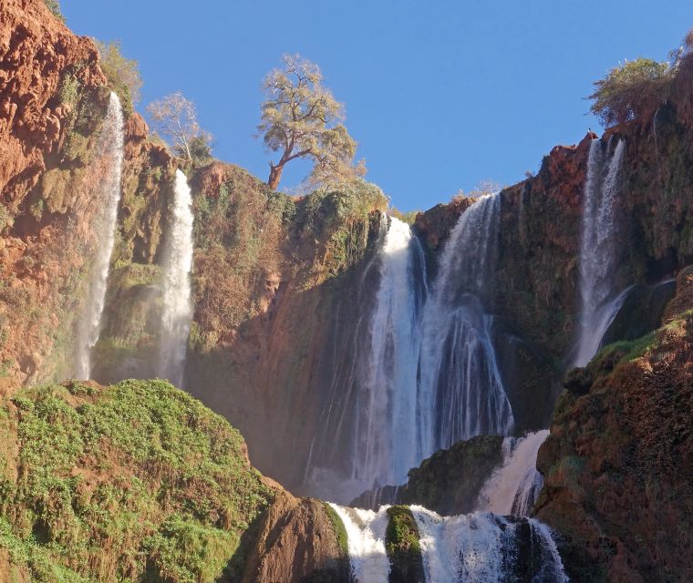 Agadir or Taghazout: Ouzoud Waterfalls Tour and Boat Trip - Wildlife Observation
