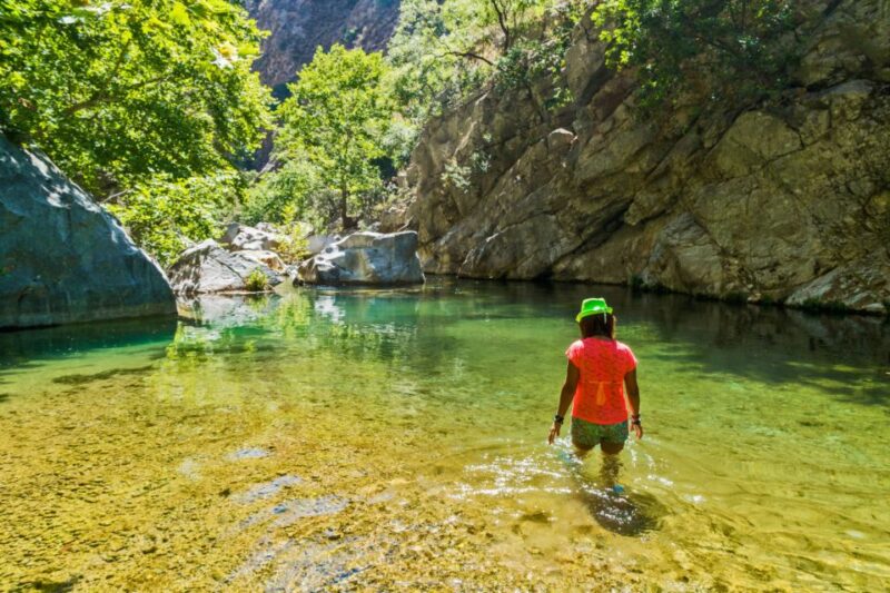 Agadir or Taghazout: Paradise Valley Atlas Mountain & Lunch - Itinerary and Highlights