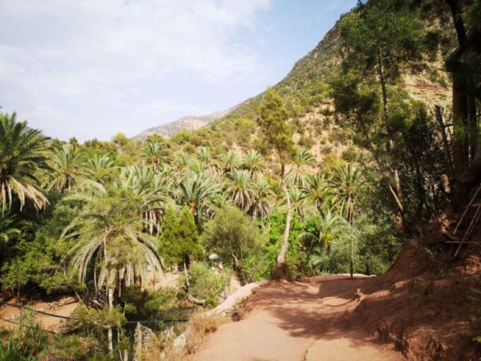 Agadir or Taghazout: Paradise Valley Atlas Mountain & Lunch - Transportation Details