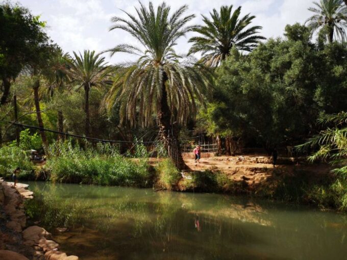 Agadir or Taghazout: Paradise Valley Atlas Mountain & Lunch - Tour Guide Expertise