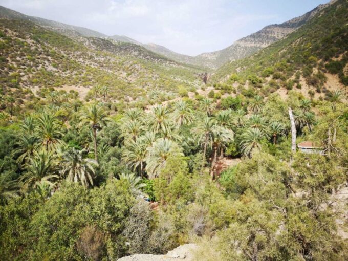 Agadir or Taghazout: Paradise Valley Atlas Mountain & Lunch - Customer Reviews