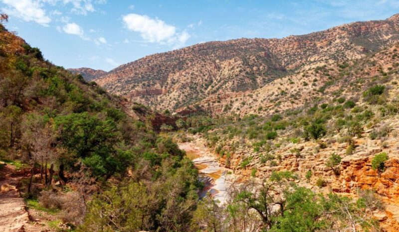 Agadir or Taghazout: Paradise Valley Atlas Swimming & Lunch - Pickup Locations and Times