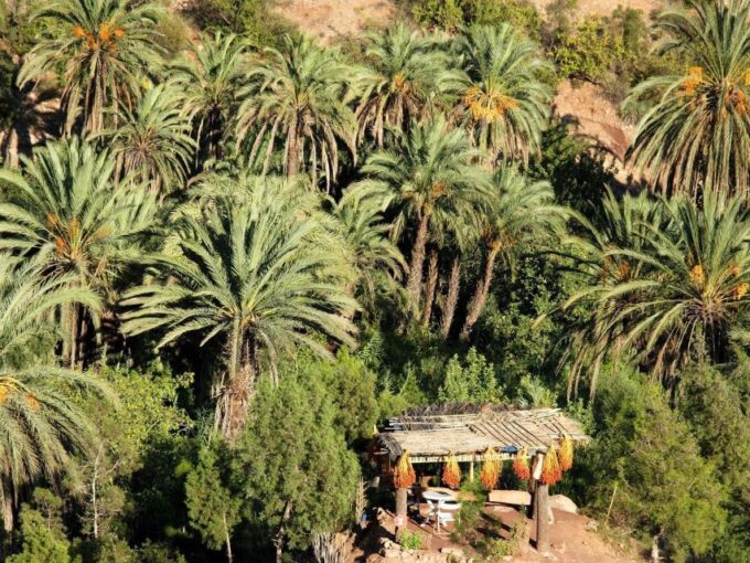 Agadir or Taghazout: Paradise Valley Atlas Swimming & Lunch - Guided Tour Experience