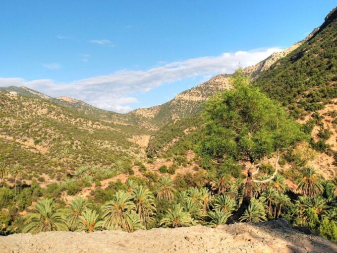Agadir or Taghazout: Paradise Valley Atlas Swimming & Lunch - Customer Feedback and Ratings