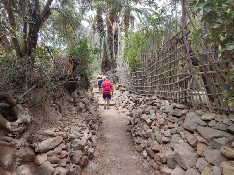 Agadir or Taghazout: Paradise Valley Trip and Cooking Class - Key Points