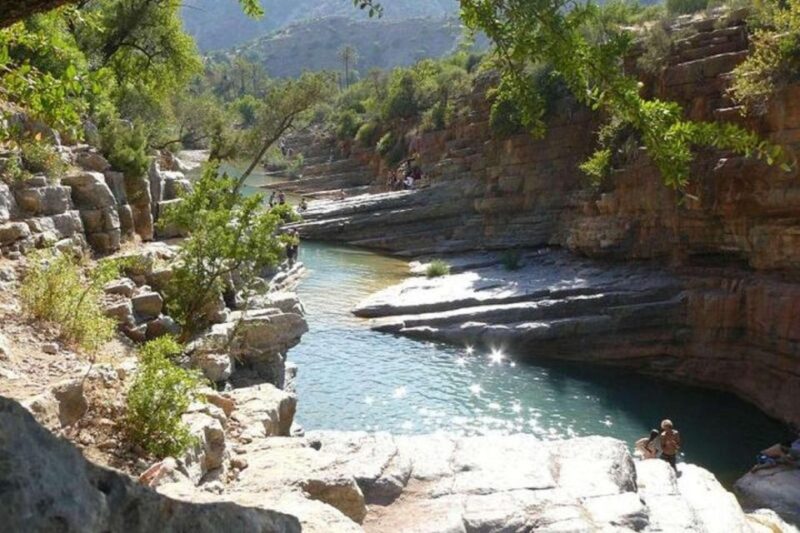 Agadir or Taghazout: Paradise Valley With Lunch & Transfers - Natural Features of the Valley
