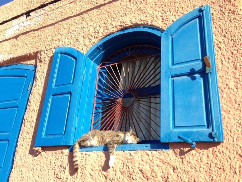 Agadir or Taghazout Sightseeing Old City With Big Market - Key Attractions
