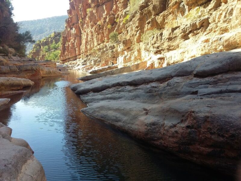 Agadir: Paradise Valley and Agadir City Tour With Lunch - Argan Oil Demonstration
