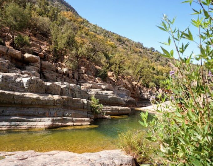 Agadir: Paradise Valley and City Highlights Tour - Culinary Delights