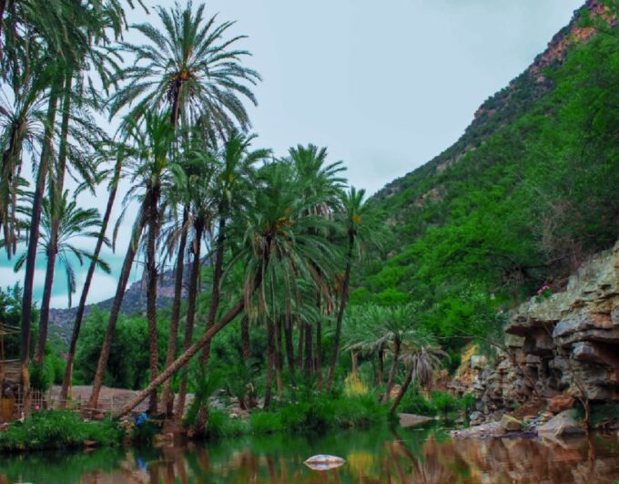 Agadir: Paradise Valley and City Highlights Tour - Customer Feedback