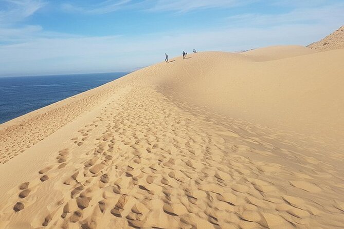 Agadir: Paradise Valley & Desert Sand Dunes With Camel Ride - Moroccan Culinary Delight