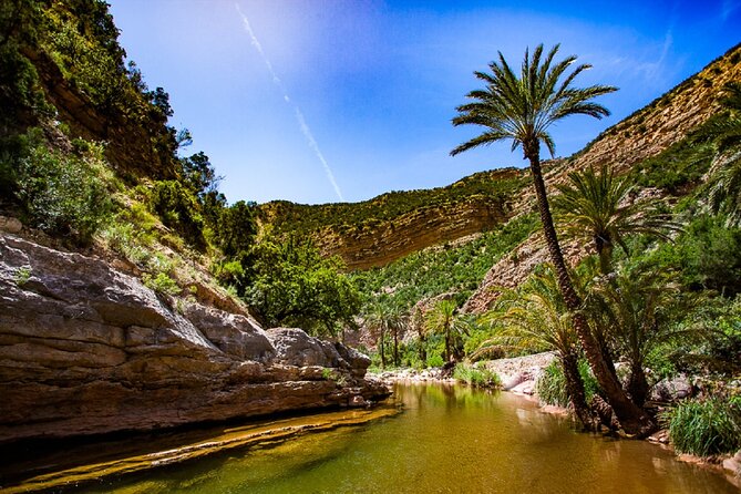 Agadir: Paradise Valley & Desert Sand Dunes With Camel Ride - Exploring Paradise Valley