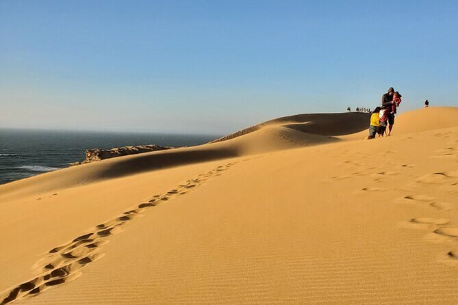 Agadir: Paradise Valley & Desert Sand Dunes With Camel Ride - Tour Inclusions and Exclusions