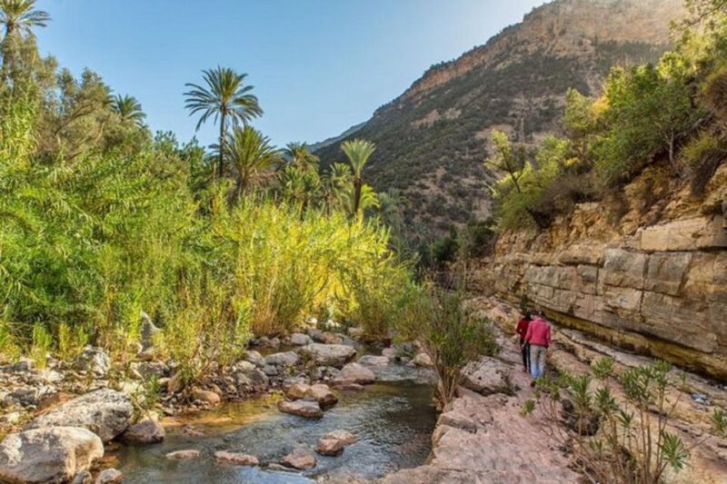 Agadir: Paradise Valley & Desert Sand Dunes With Camel Ride - Itinerary Highlights