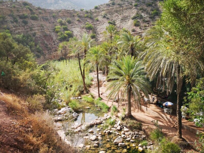 Agadir: Paradise Valley & Desert Sand Dunes With Camel Ride - Inclusions and Logistics
