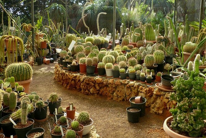 Agadir Paradise Valley Excursion & Breakfast - Pricing and Booking