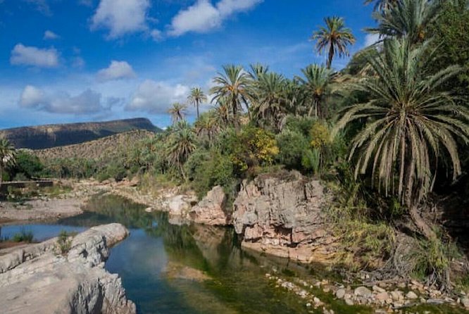 Agadir Paradise Valley Excursion & Breakfast - Guest Reviews and Feedback