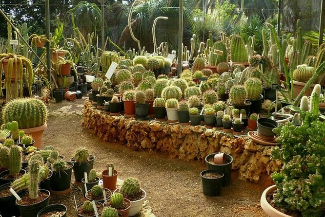 Agadir Paradise Valley Guided Tour With Berber Breakfast & Lunch - Cancellation Policy