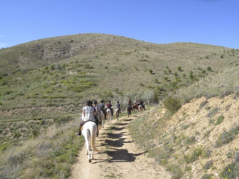 Agadir: Paradise Valley Tour & Atlas Mountain With Lunch - Pickup and Drop-off