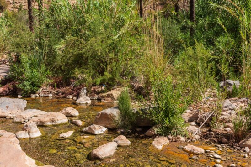 Agadir: Paradise Valley Tour With Swimming and Lunch - Additional Activities