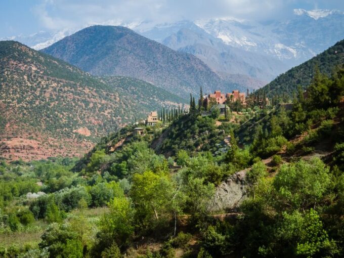 Agadir: Paradise Valley Tour With Swimming and Lunch - Authentic Oasis Swimming