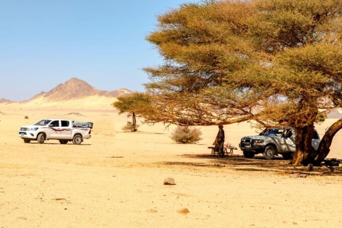 Agadir Private 4×4 Jeep Safari Desert With Delicious Lunch - Spotting Wildlife in Souss-Massa National Park