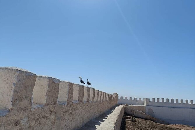 Agadir Private City Tour & Visit of Medina Polizzi - Duration and Timings