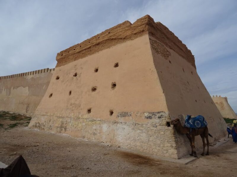 Agadir: Private City Tour With Kasbah & Agadir Museum Access - Itinerary Highlights