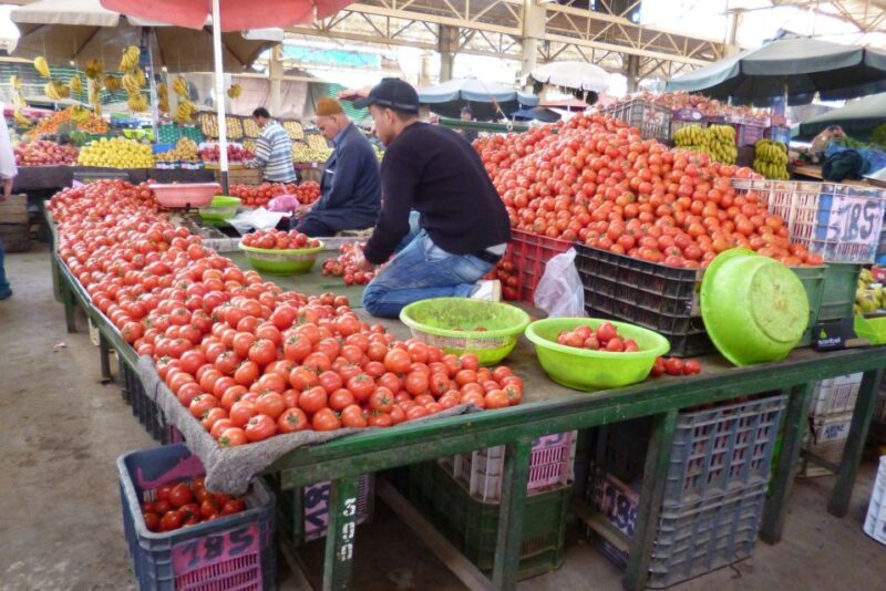 Agadir Private Day Trip From Marrakech - Sightseeing in Agadir
