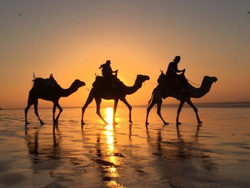 Agadir: Quad Biking and Camel Ride Experience - Included in the Experience