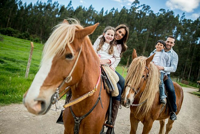 Agadir Quad Biking and Horse Riding With Snacks - Explore Golden Sand Dunes