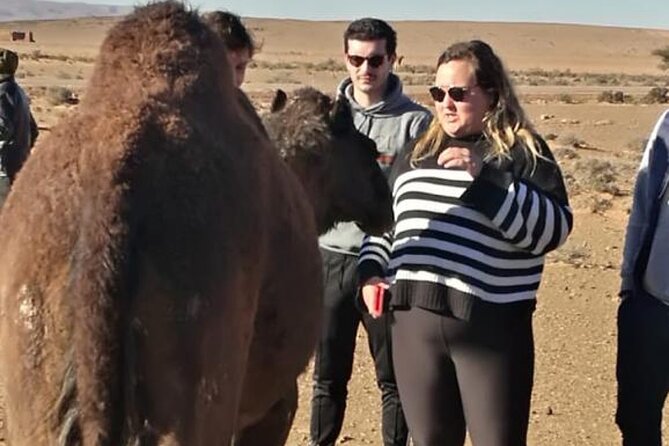 Agadir Quad Biking & Camel Riding With Snacks - Booking Information
